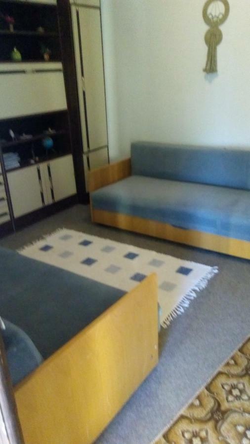 Ante Apartment ستاريغغاد باكلينتسا المظهر الخارجي الصورة